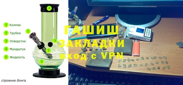 стаф Дмитров