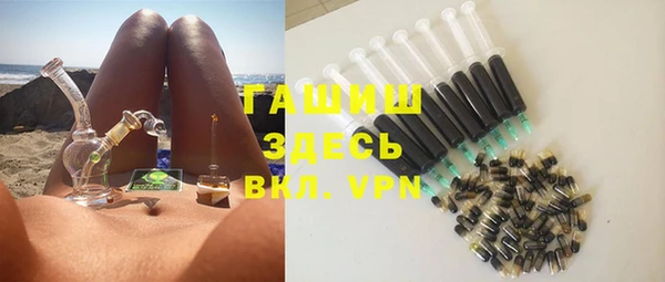 стаф Дмитров