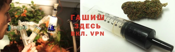 стаф Дмитров