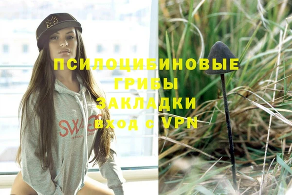 ALPHA-PVP Дмитриев