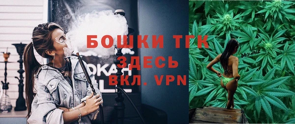 стаф Дмитров