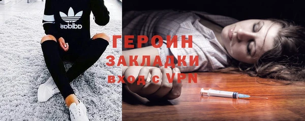 стаф Дмитров